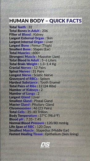 Human Body Quick Facts 🧠💪