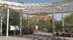 Cactus and desert plants in Desert Botanical Garden, Papago Park, Phoenix, AZ, USA