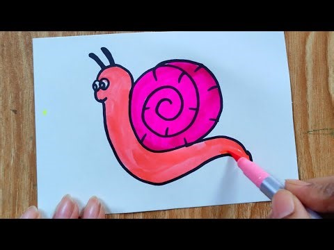Simple drawing of a snail || শামুক অঙ্কন || colourful snail drawing| Snail drawing for beginner