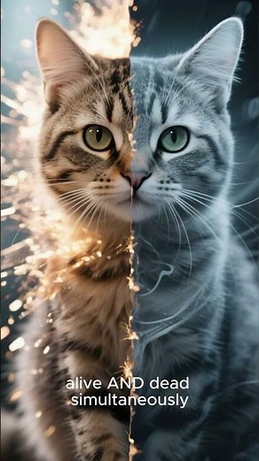 Alive AND Dead? Schrödinger’s Cat Explained | Beyond Newton