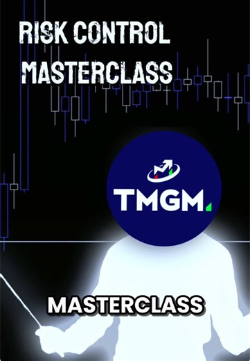 Master Financial Risk Control with TMGM