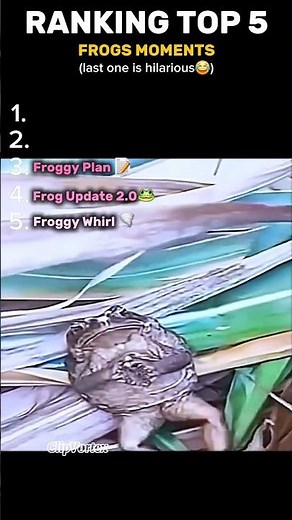 🎥Top 5 Hilarious Frog Moments 🐸 | Try Not to Laugh! #top5 #viral #clipvortex