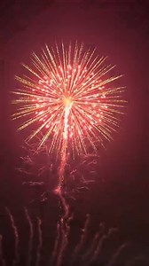 8 Brocade Crown to Multicolor Red to Blue Pistil Rise Tail Rise Small Flowers #fireworks #fireworksdisplay #pyrography #4thofJuly #pyro #fireworkshow | Firework Cloud