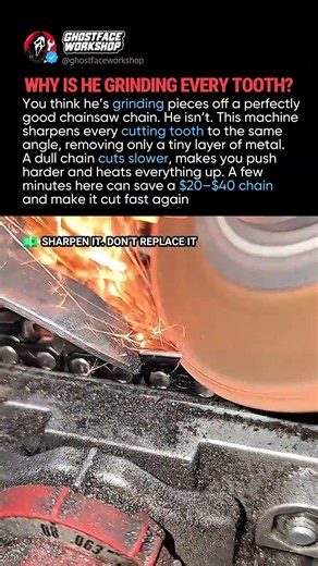 WHY GRIND EVERY TOOTH