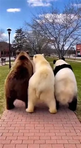 One Take Group Dance Challenge: Watch Our Epic Moves!