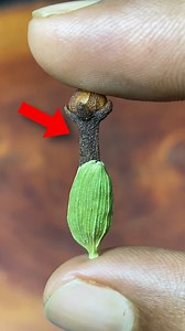 18M views · 295K reactions | ভুলেও বিয়ের আগে এটা ট্রাই করবেন না | Natural Beauty Hacks | Facebook