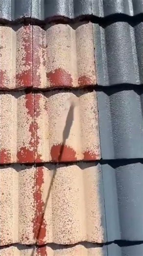 painting the old weathered roof tiles precisely using a professional gray spray paint tool today