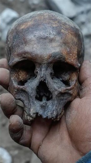 Scientists Found Non-Human DNA In A Siberian Cave