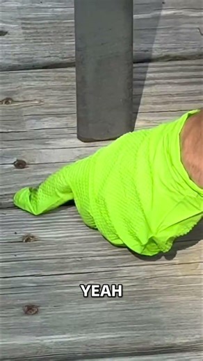 Giant Orb Weaver Spider Removed From HUGE Window View!