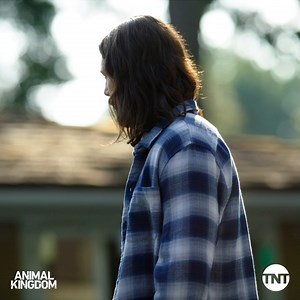 67K views · 4.4K reactions | Family over everything. #AnimalKingdom Ben Robson | Animal Kingdom TNT | Facebook