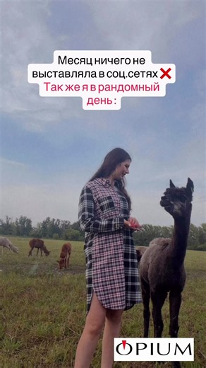 ПСИХАНУЛА 🫣 Женское хлопковое платье-рубашка в клетку с длинным рукавом OZON 4461896023 ❤️ #мем #платье #отдых #угар #тольятти