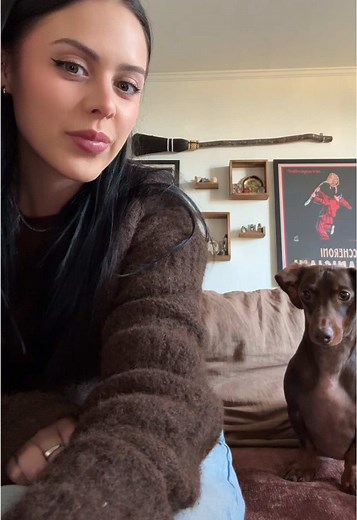 Taco Bell Lunch Hours and Menu Highlights