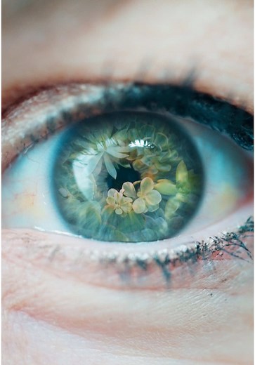 Mastering Creative Editing in Photoshop