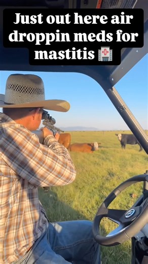COWBOY DELIVERS MEDICINE FROM A DISTANCE! 😱🐄💉 #farming #agriculture #farm #farmlife