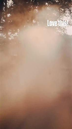 🏍🌲 The Harley-Davidson® x Realtree® collaboration has arrived — built for those who live untamed. Explore the ride, embrace the outdoors. #HarleyDavidson #Realtree #LiveUntamed #FreedomToRoam #HDxRealtree #RideTheOutdoors | Barnes Harley-Davidson Langley