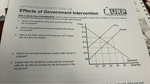 APO MICROECONOMICS TOPIC 2.8 Effects of Government Intervention... | Filo