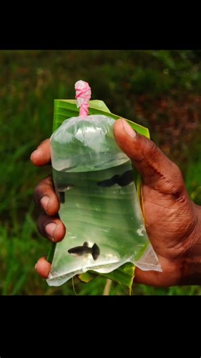 Starting soon #keralafishing #fishing #bestfishing #fishinglovers #kollam #fishing #tvm