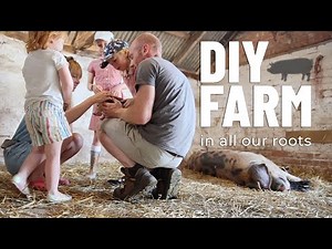 DIY FARM - Our story so far...