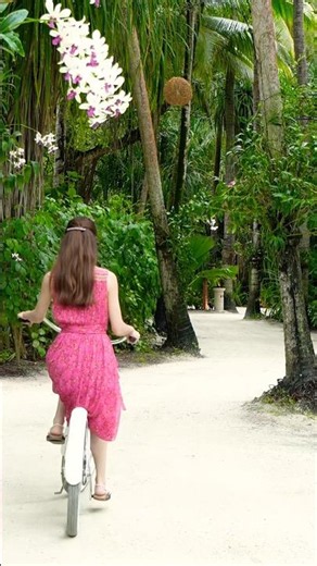 【ジャングルのようなモルディブの森の中をお散歩】#maldives