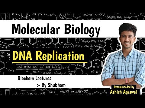 DNA Replication || Molecular Biology || Biochemistry lectures