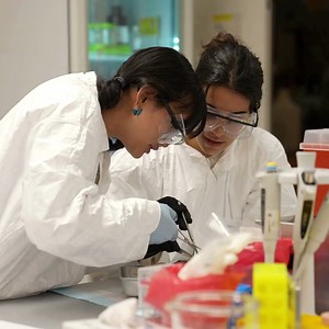 We’re still in application season! 📚✨ A quick reminder for Harvard Summer School applicants to check that everything is submitted: ✅ Counselor Report ✅ Media Release Form ✅ Essay Your summer at Harvard could be filled with learning, friendships, and unforgettable experiences - make sure your application is complete! | Harvard Summer School