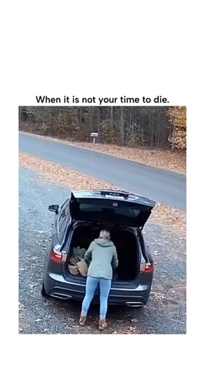 FullMastiReels on Instagram: "This post shares a 14-second TikTok video depicting a woman unloading her SUV in a forested area when a tiger suddenly lunges toward her from behind the vehicle, pawing at the open trunk in a seemingly protective or aggressive manner, overlaid with prayer-like subtitles. The content is widely regarded as AI-generated based on visual anomalies like the tiger's abrupt emergence and unnatural movements, consistent with 2025 trends in fabricated wildlife encounters that