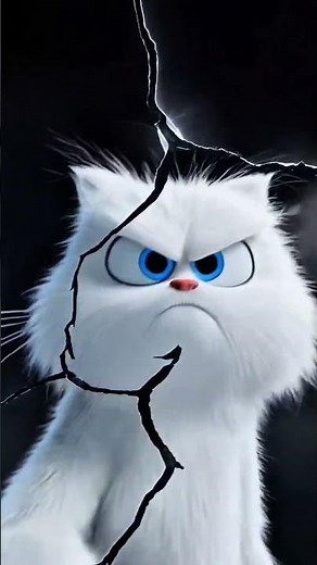 aggressive cat #shorts #youtubeshorts #aggressivecat #reels #cat #short #catlovers