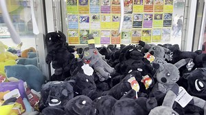 Pika here! Lime Ricky Oak ave and Boardwalk Wildwood | Wildwood Beach