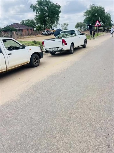 Scott Rsa (@scott.rsa1)’s videos with original sound - OVERLOAD THUSI