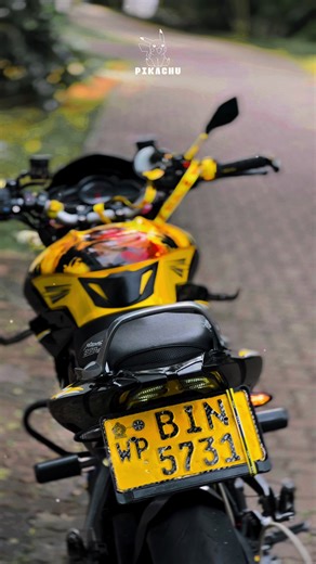 ආලේ මගේ...🥹💘 𝙋𝙞𝙠𝙖𝙘𝙝𝙪 ⚡︎ #foryou #ns200 #modified #ns200lover #fypシ゚ @𝐑𝐀𝐯𝐈&𝐧𝐈𝐒𝐡𝐔🤎🐻