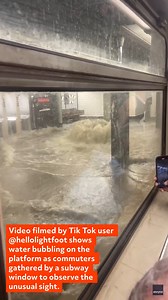 72K views · 354 reactions | Scary moment as flood waters rapidly rise with commuters trapped on a subway car in NYC. | storyful | Facebook