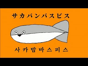 [enIGma] Sacabambaspiss | 사카밤바스피스 | サカサカバンバンバスピスピス [Korean Cover]
