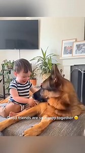 721K views · 10K reactions | Funny stories about babies and dogs ❤️殺 #pet #cat #dog #cute #animals | Tvpchapadinha | Facebook