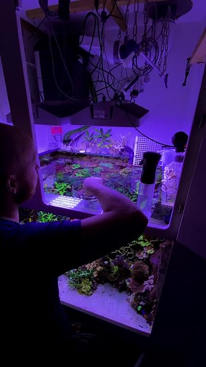 Magical Saltwater Aquarium: A Glowing Fantasy Underwater World