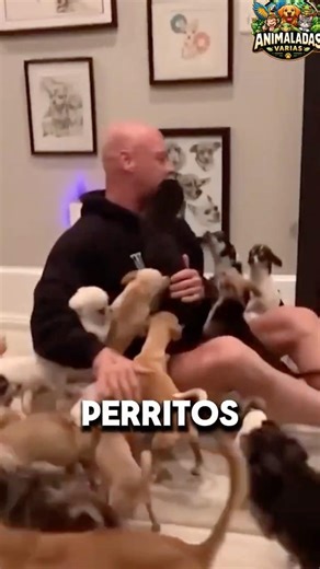 !No vas a creer cómo reaccionan al ver a sus dueños!