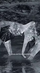 25K views · 552 reactions | Thermal imaging cameras provide an...