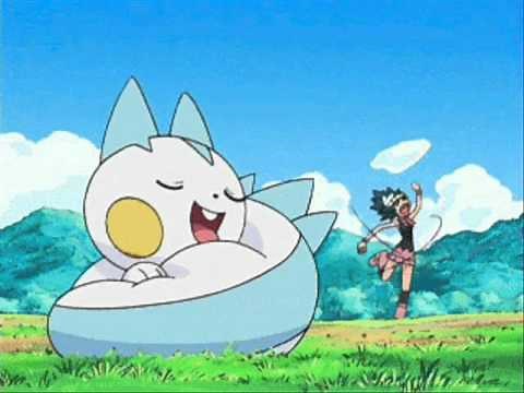 Pokémon - pachirisu