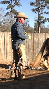 14K views · 171 reactions | Remember to use the 5 Principles For Effective Horsemanship. | B1 Horsemanship | Facebook
