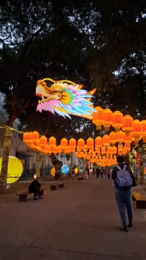 Dargon Light Show #lantern #lightdecoration