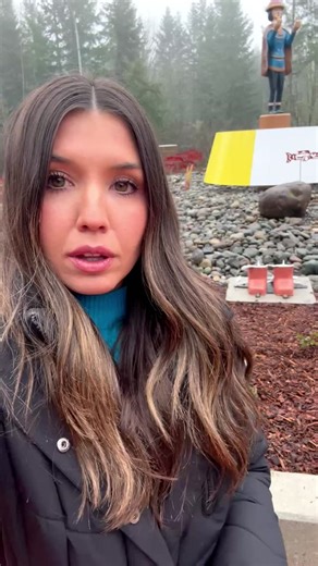 KING 5 on Instagram: "An investigation is underway following vandalism at Nisqually State Park. Four Native American welcome figures near the entrance were found broken and knocked over."