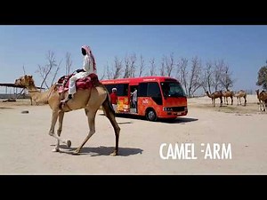 Visit Bahrain Tours | An Oasis in the Desert