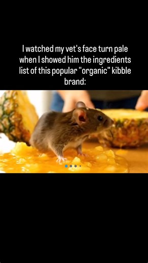 Christ is King on Instagram: "1. Organic doesn't mean healthy for a carnivore. He saw TAPIOCA and PEA STARCH as the main ingredients. These are HIDDEN SUGARS that spike insulin and cause systemic inflammation. Normal owners see the organic seal, but the ELITE check the glycemic load. Your dog is eating a dessert in disguise. 2. The protein was mostly "organic plant protein" instead of REAL MUSCLE MEAT. He pointed out that dogs lack the specific enzymes to process high amounts of legumes. Ordinar