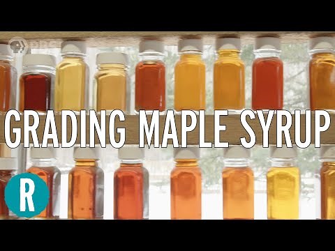 How Do They Make Maple Syrup?