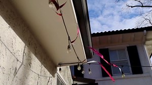 Bird-X Reflective Tape, Flashing Bird Scare Tape, Iridescent Red Tape for Multi-Sensory Attack, Easy to Install, 1" W x 50' L