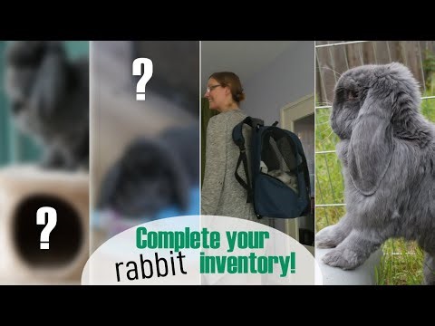 15 MUST HAVE rabbit ACCESSORIES for you and your bunnies