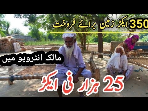 land for sale | agriculture land for sale | agriculture land for sale in Punjab Pakistan