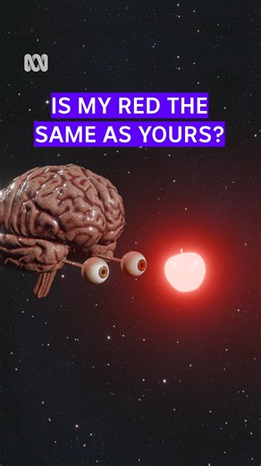 Colour DOES NOT exist – as we know it... 🟥 We can’t know that everyone perceives colour the same. So is there such a thing as shared subjective experience? "Human brain, Cerebrum & Brainstem” by FrankJohansson is licensed under Creative Commons Attribution. #Science #Consciousness #Neuroscience #Colour | ABC Science