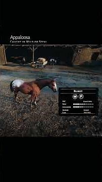 RDR2 • All Appaloosa Horse Colors and Locations • Red Dead Redemption 2