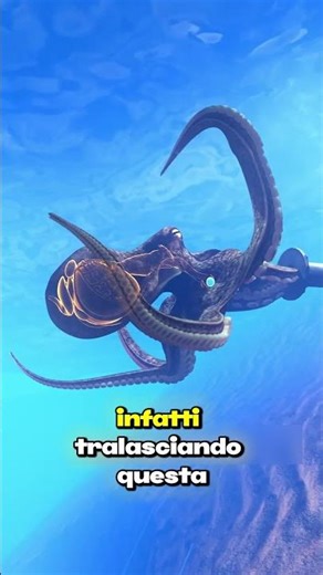 OCTOPUSES CAN BECOME VERY SMALL AND FIT THROUGH ANY HOLE IMAGINABLE (credits: @zackdfilms)