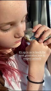 It’s up to us to teach the next generation how to respect animals #children #animals #love #Respect #pet #birdtricks | BirdTricks